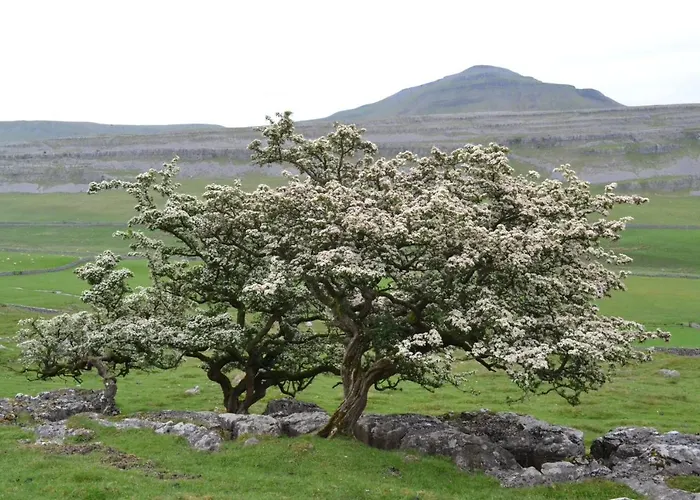 Guest house Dalecote Barn Ingleton (North Yorkshire)